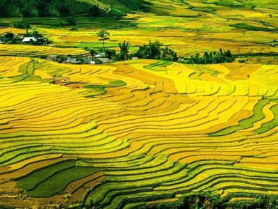 Tour Du Lịch Sapa 2 Ngày 1 Đêm Bằng Ô Tô Copy
